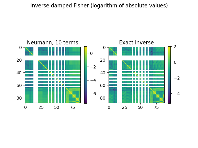 Inverse damped Fisher (logarithm of absolute values), Neumann, 10 terms, Exact inverse
