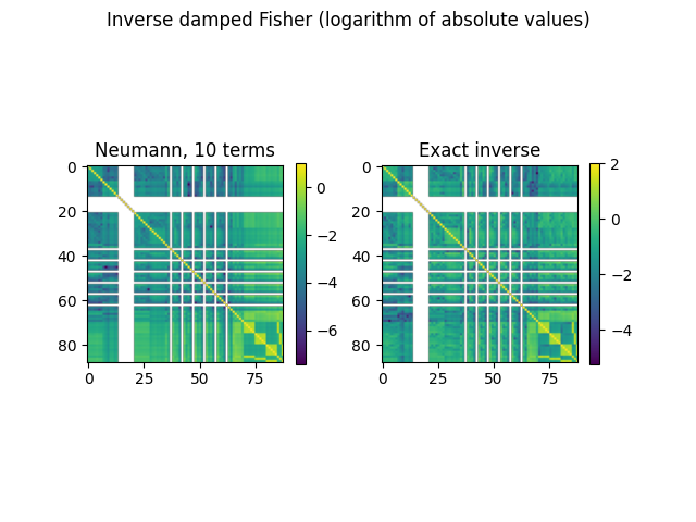 Inverse damped Fisher (logarithm of absolute values), Neumann, 10 terms, Exact inverse